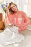See Through Crop Shirt