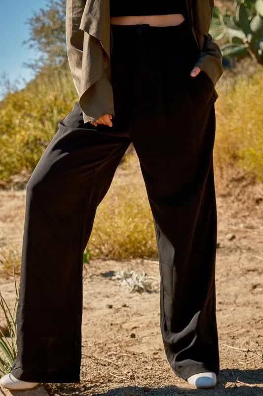 High Waist Front Pleat Wide Legs Pants