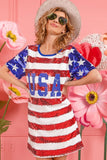 American Flag Theme Usa Print Sequin Dress