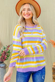 Multi Striped Mesh Pullover Spring Sweater