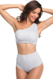 Chic Two-Piece Asymmetrical Neckline High-Cut Swimsuit
