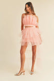 Tulle Tube Ruffle Crop Top and High Low Maxi Skirt Set