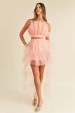 Tulle Tube Ruffle Crop Top and High Low Maxi Skirt Set